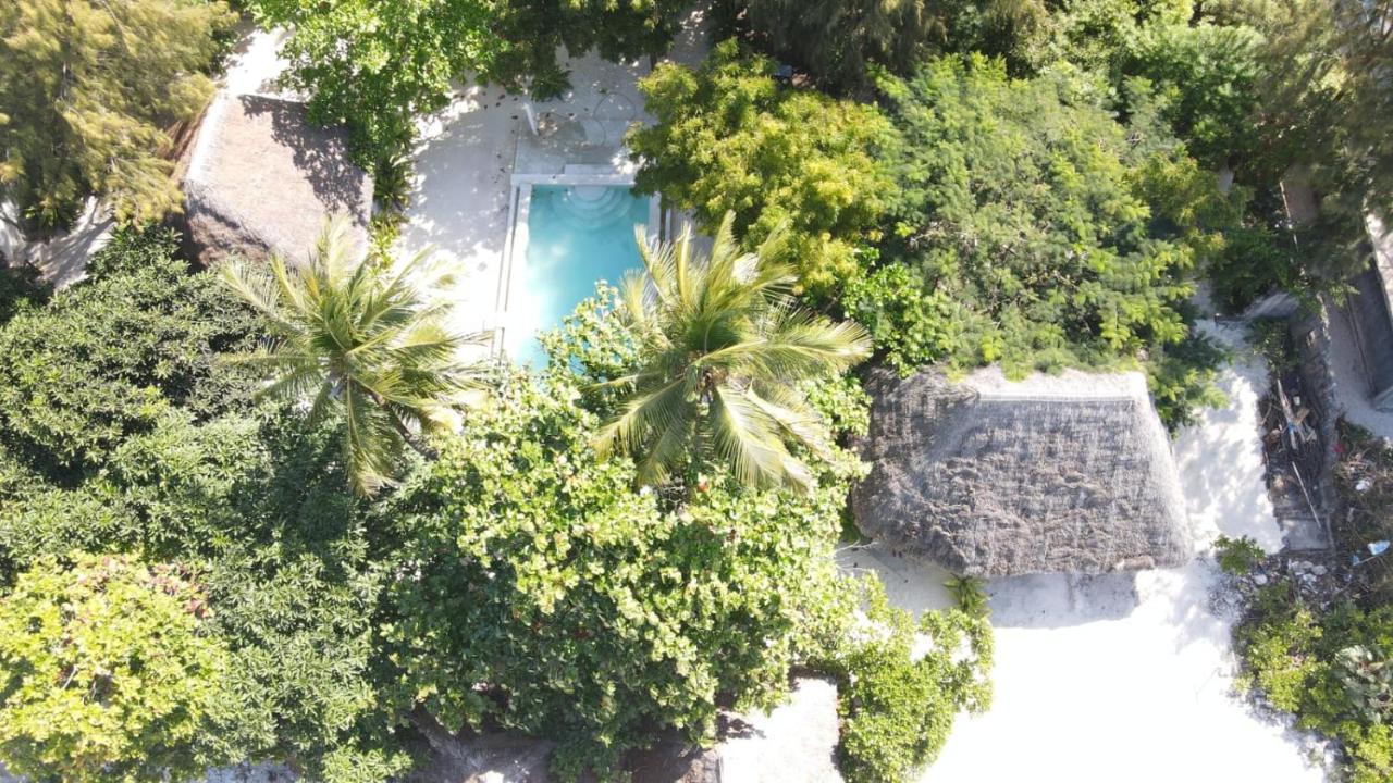 Garden Beach Bungalows Jambiani Jambiani  Exteriör bild