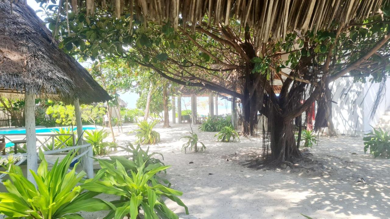 Garden Beach Bungalows Jambiani Jambiani  Exteriör bild