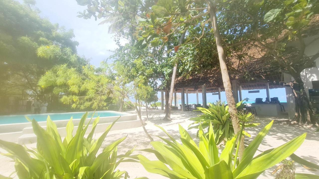 Garden Beach Bungalows Jambiani Jambiani  Exteriör bild